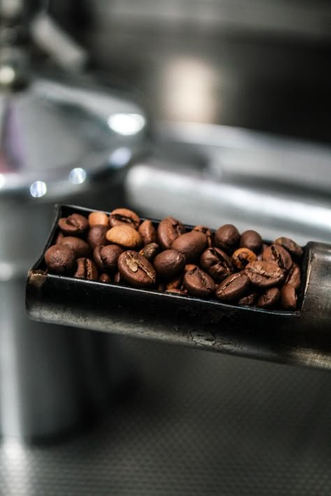 Café Gracato